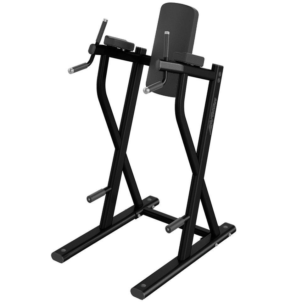 Life Fitness Dip/Leg Raise