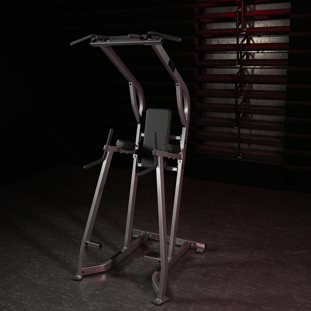 Hammer Strength Chin/Dip/Leg Raise