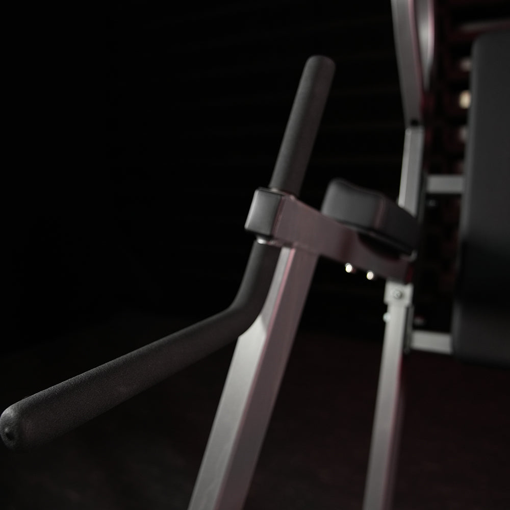 Hammer Strength Chin/Dip/Leg Raise