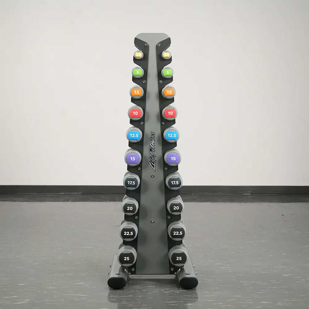 Life Fitness Vertical Dumbbell Rack - 10 Pair