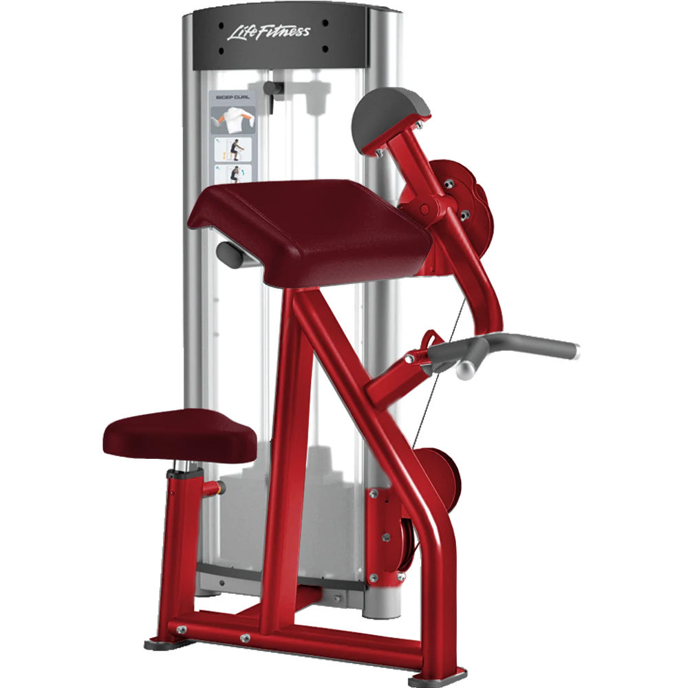 Bicep Curl Machine Life Fitness Bicep machine planet fitness