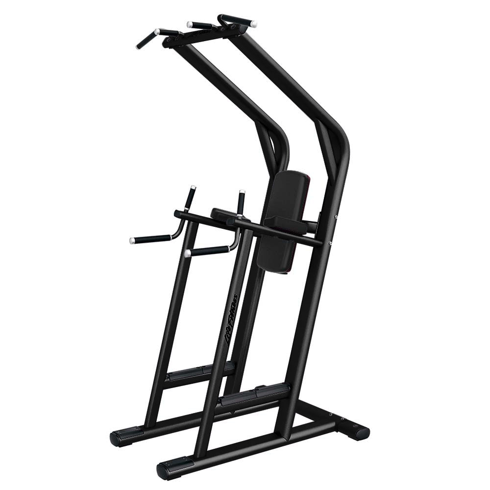 Life Fitness Chin/Dip/Leg Raise