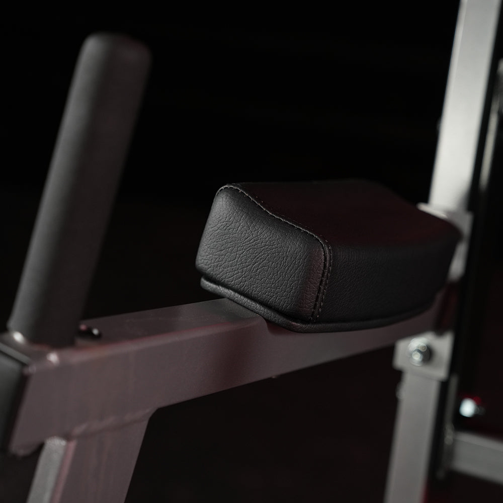 Hammer Strength Chin/Dip/Leg Raise