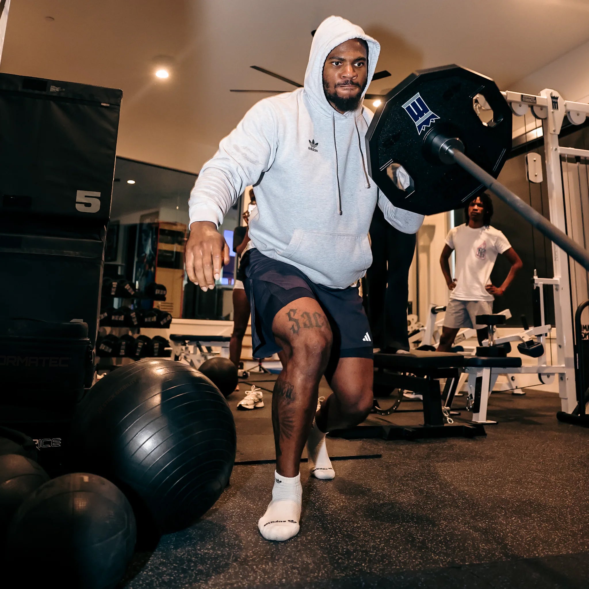 Back Extension Bench | Life Fitness Shop