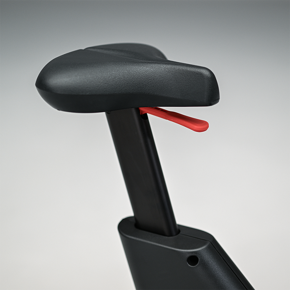 Club Series+ Upright Lifecycle® Bike