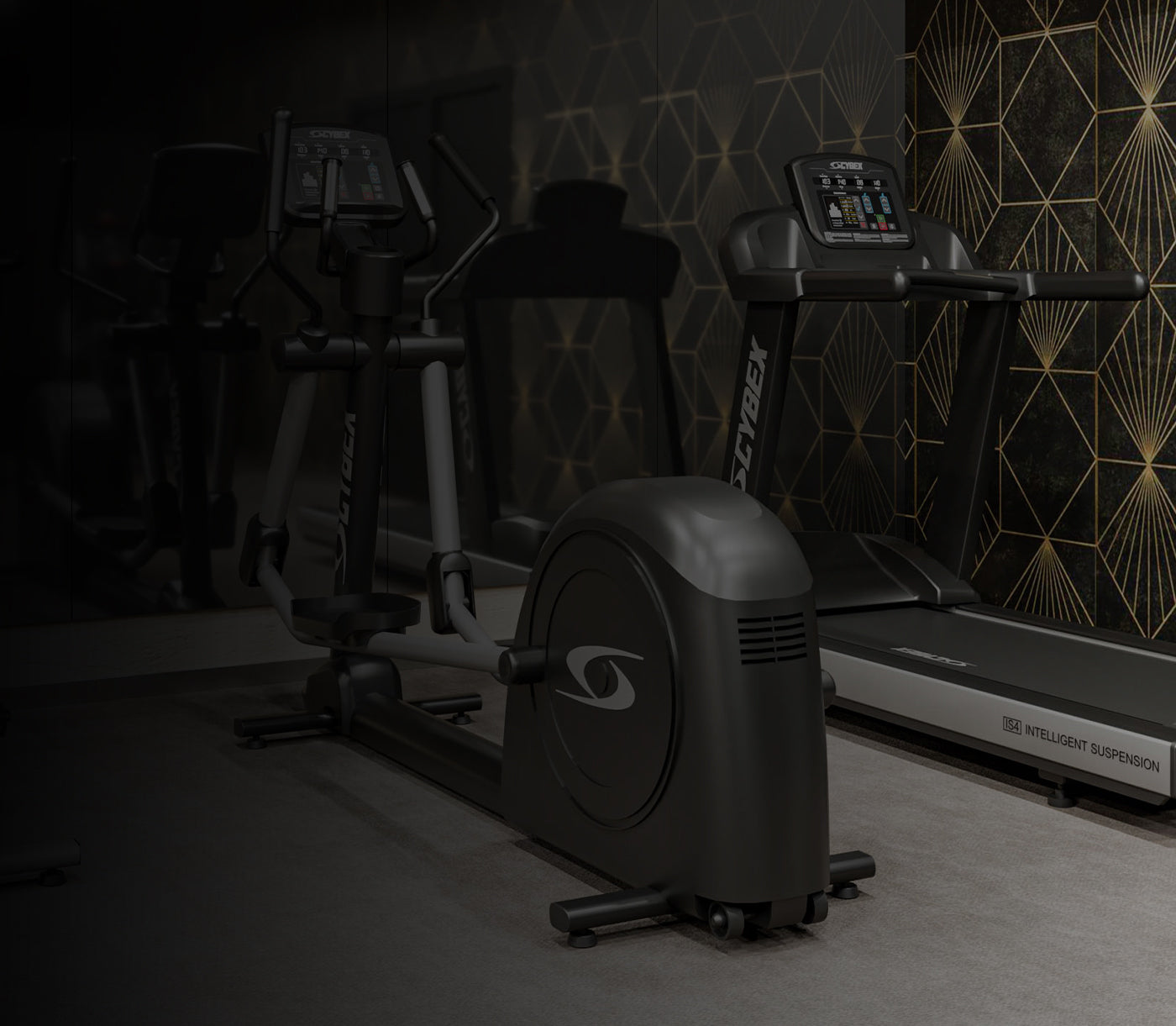 Life Fitness Brands - Club Quality Equipment for Home Use