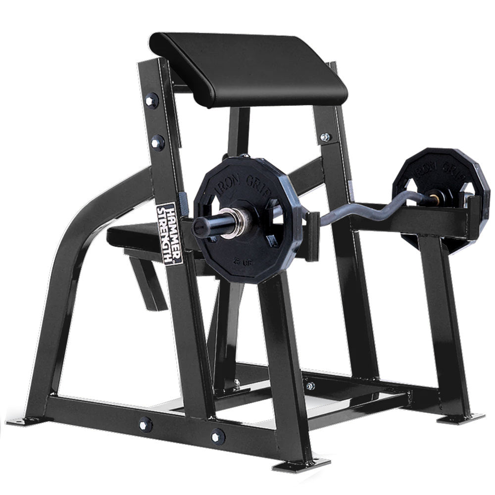 Seated Arm Curl