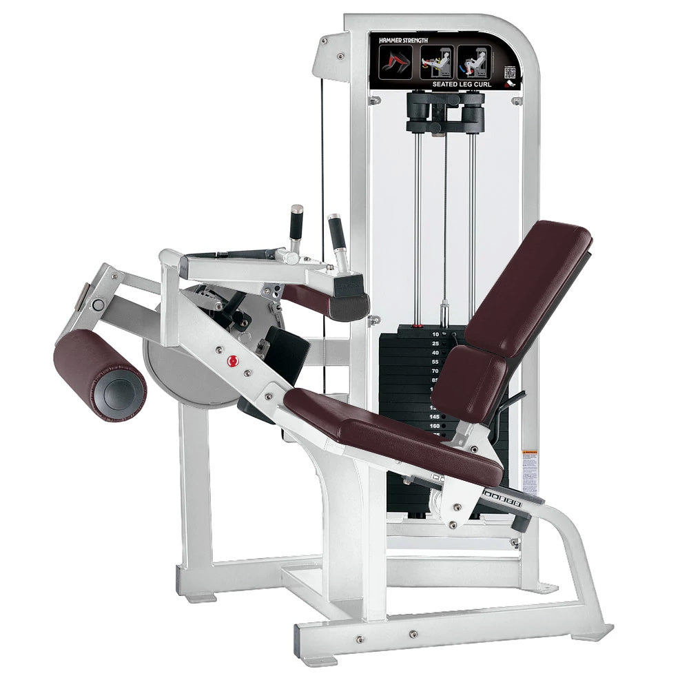 Hammer Strength Select Seated Leg Curl - Outlet