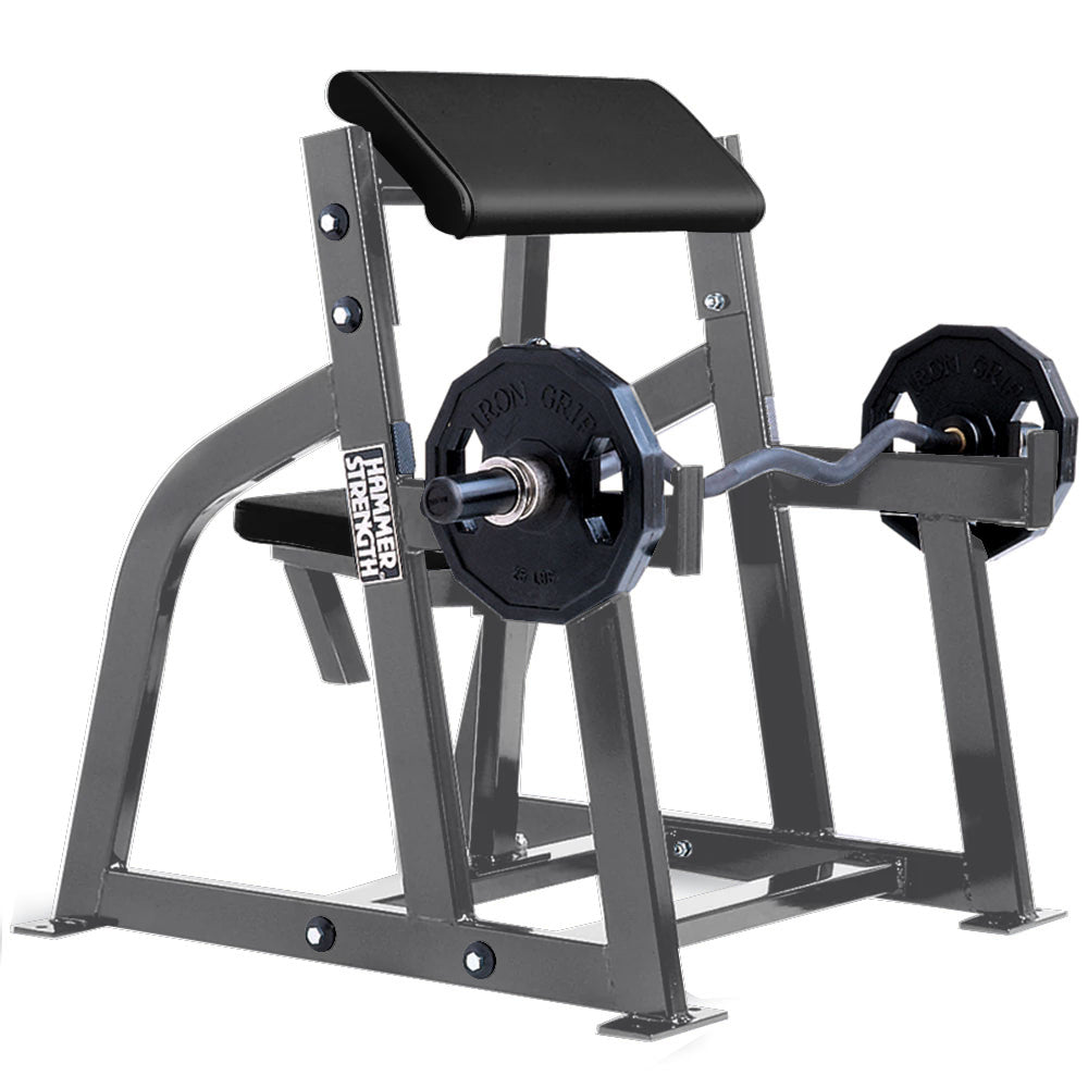 Hammer Strength Seated Arm Curl - Outlet