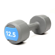 Life Fitness Studio Urethane Dumbbell, 12.5LB - grey with blue accents