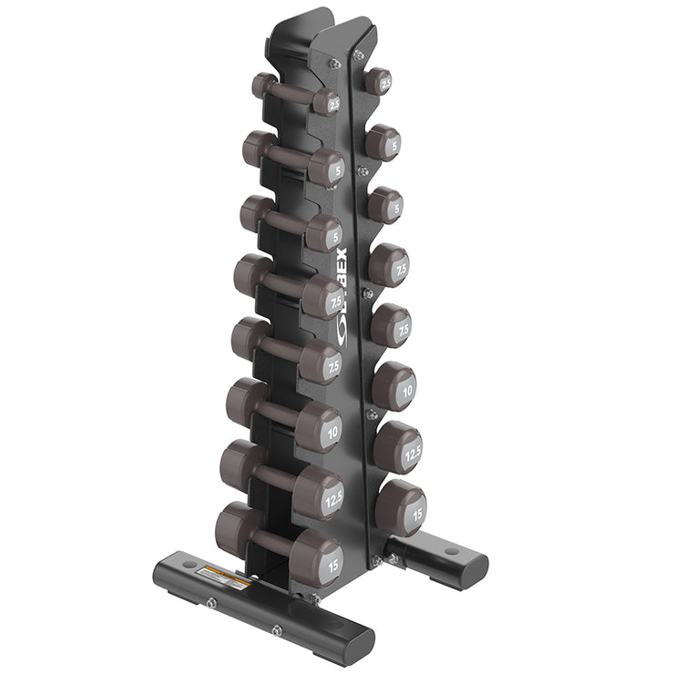 Cybex Ion Series Vertical Dumbbell Rack loaded with various dumbbell pairs, 2.5-15 lbs.