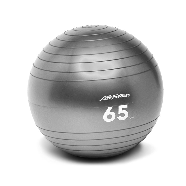 Life Fitness Stability Ball, 65cm - Gray