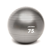 Life Fitness Stability Ball, 75cm - Gray